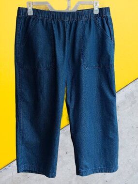 Style & Co. Womens Crop Capri Pants Pull On Elastic Waist Blue Size XL